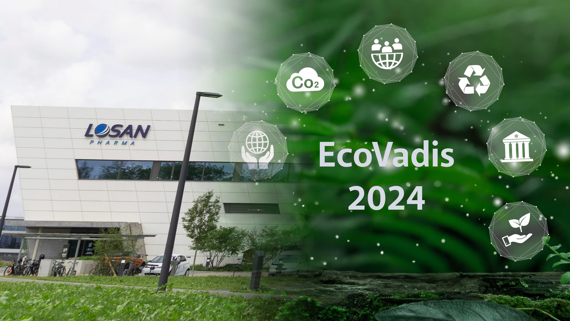 EcoVadis Auszeichnung für Losan Pharma